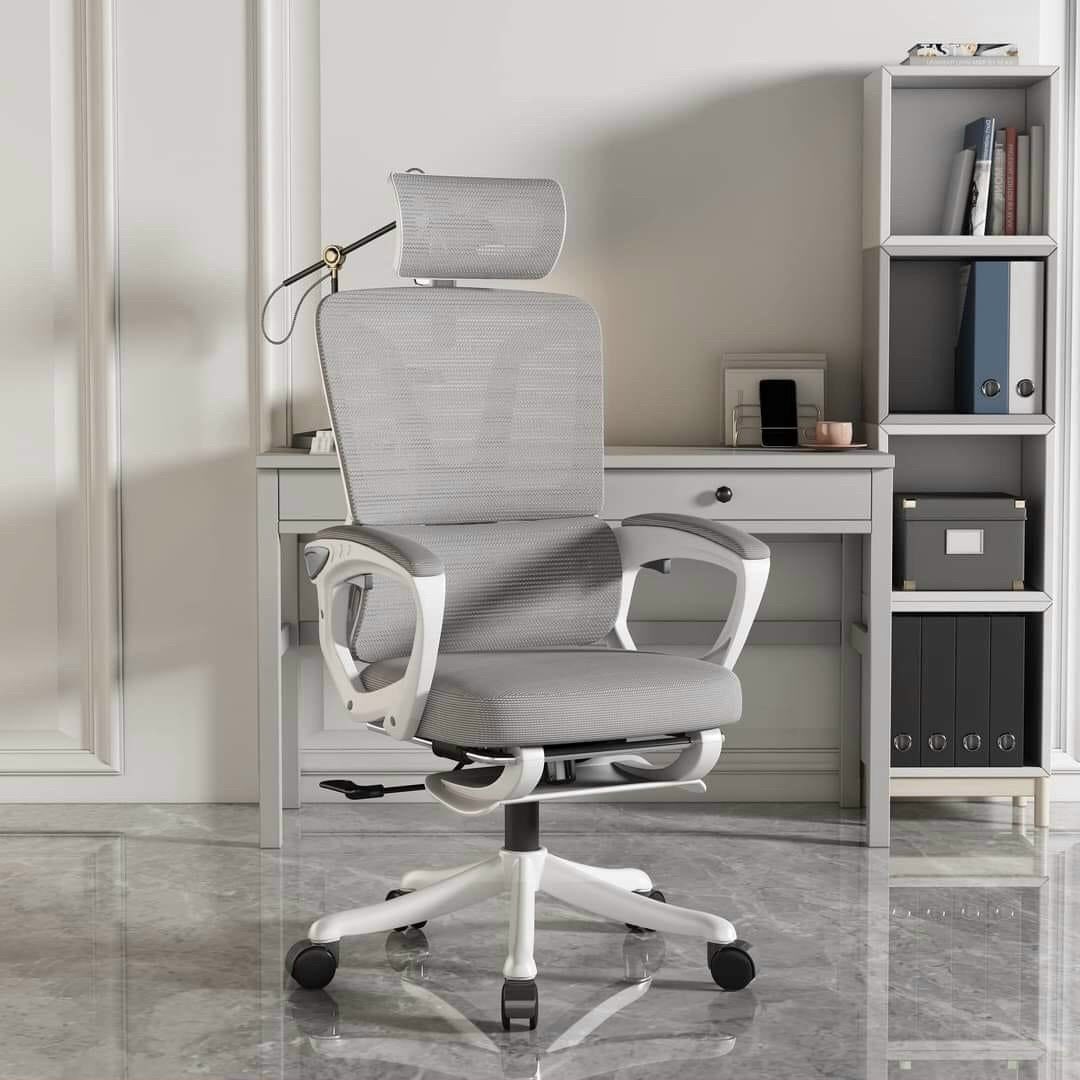 Ghế Công Thái Học Cao Cấp TMS08